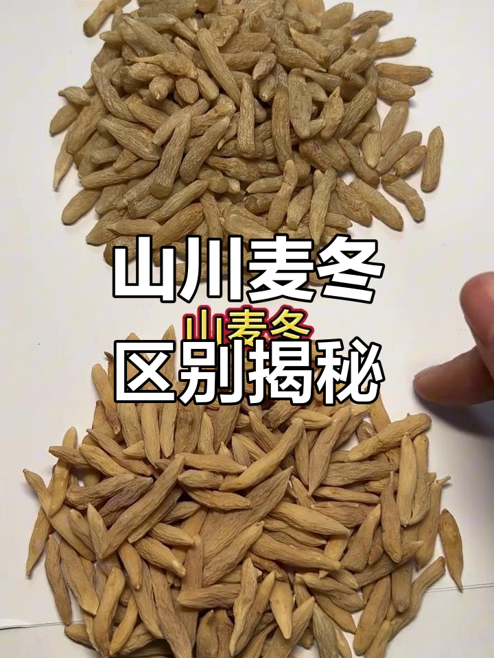 川麦冬与山麦冬大不同,如何分辨真假?