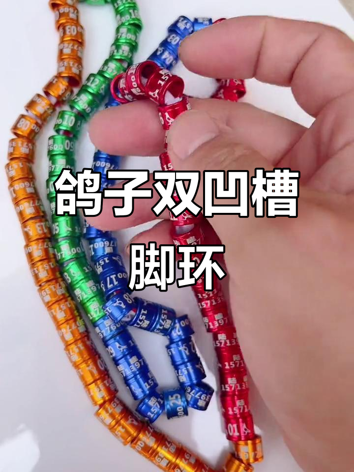 双凹槽鸽子脚环定制,六种颜色可选