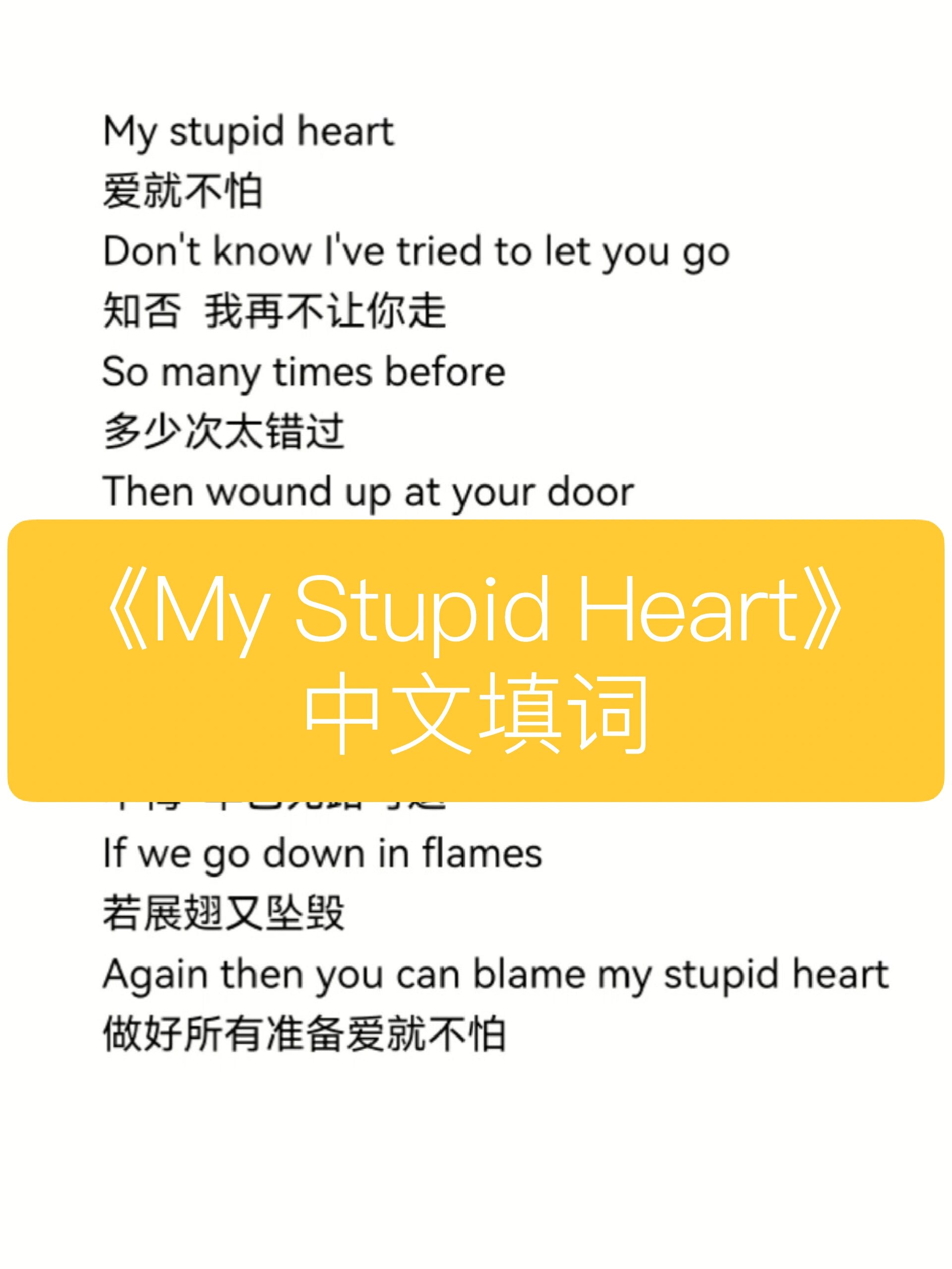 《my stupid heart》中文填词