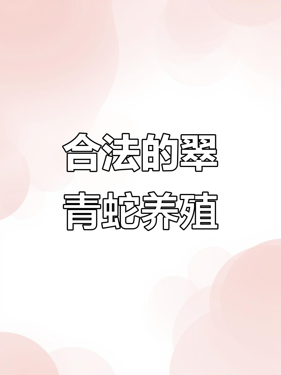 关于翠青蛇为什么不能上手的信息