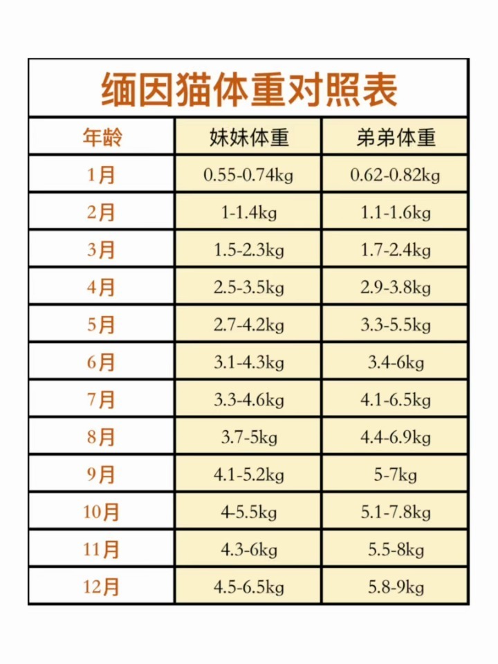 猫体重月份对照表图图片