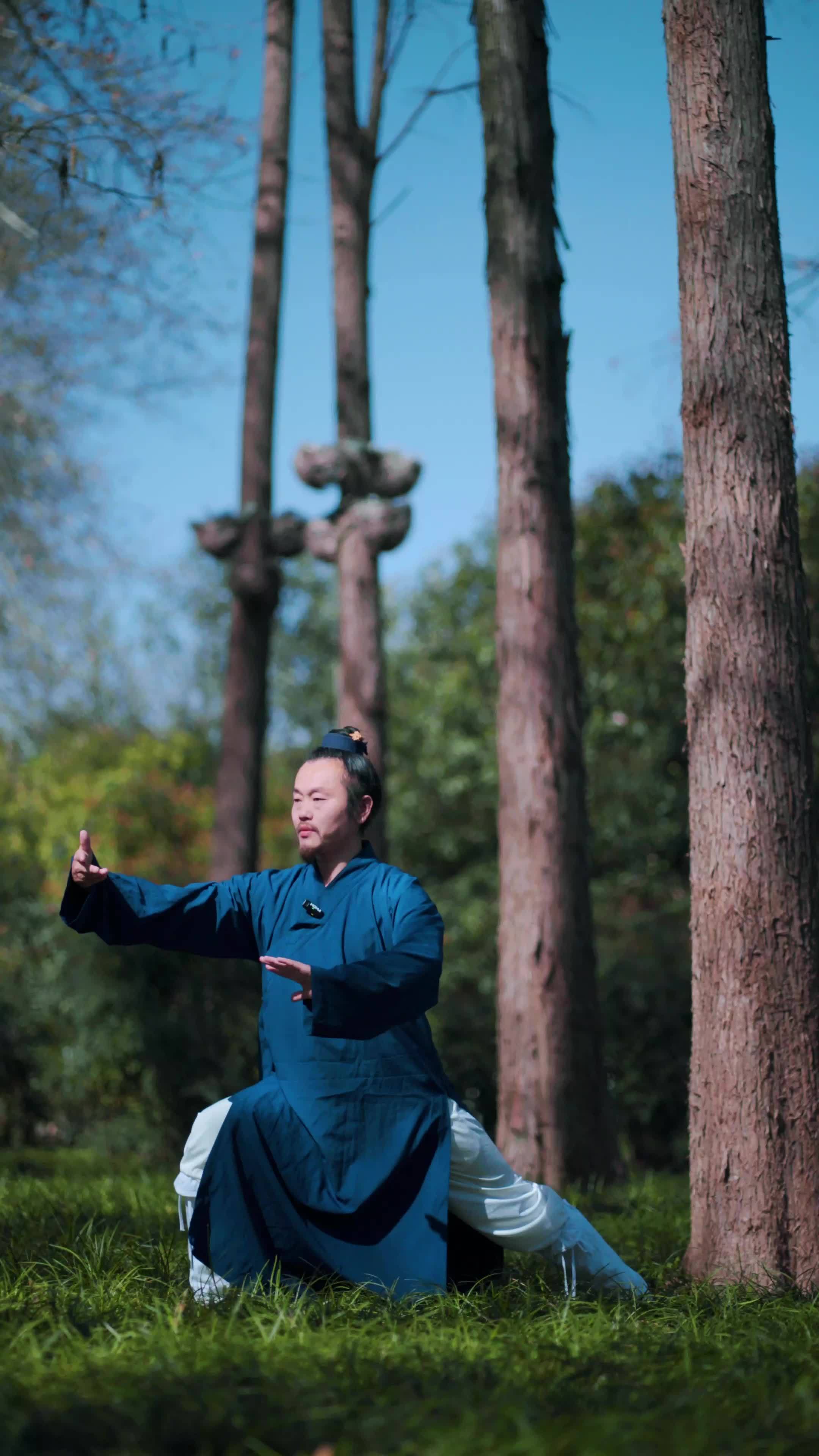 太极拳 健康养生 武当王资迪