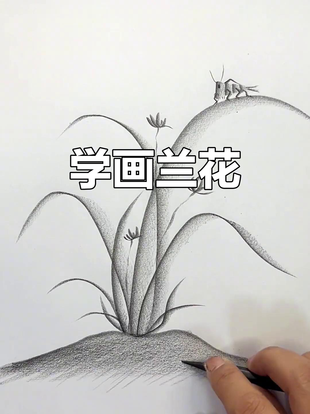 零基础学炭笔画兰花,简单又好看