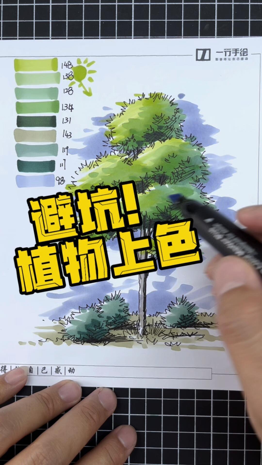 园林景观中的乔木马克笔上色方式和配色还给大家准备了更多系统的