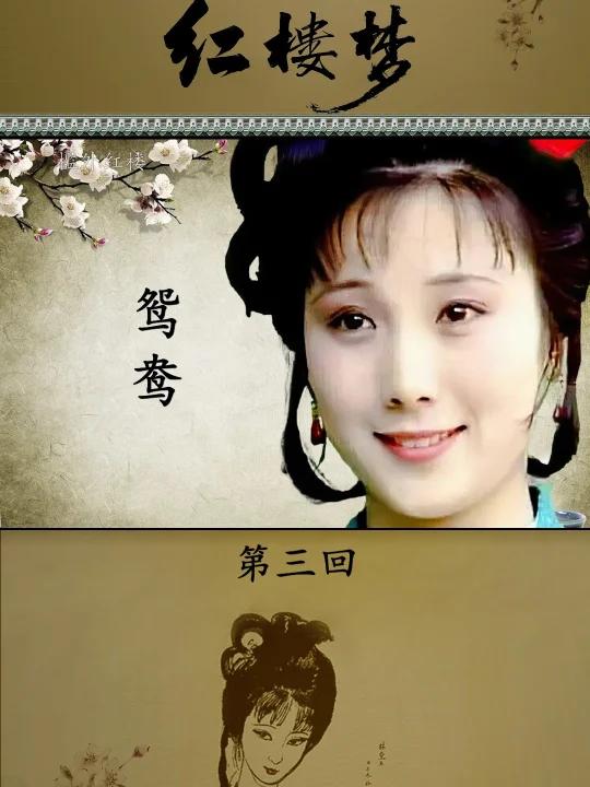 不甘寂寞的鸳鸯放弃好工作拍摄红楼梦