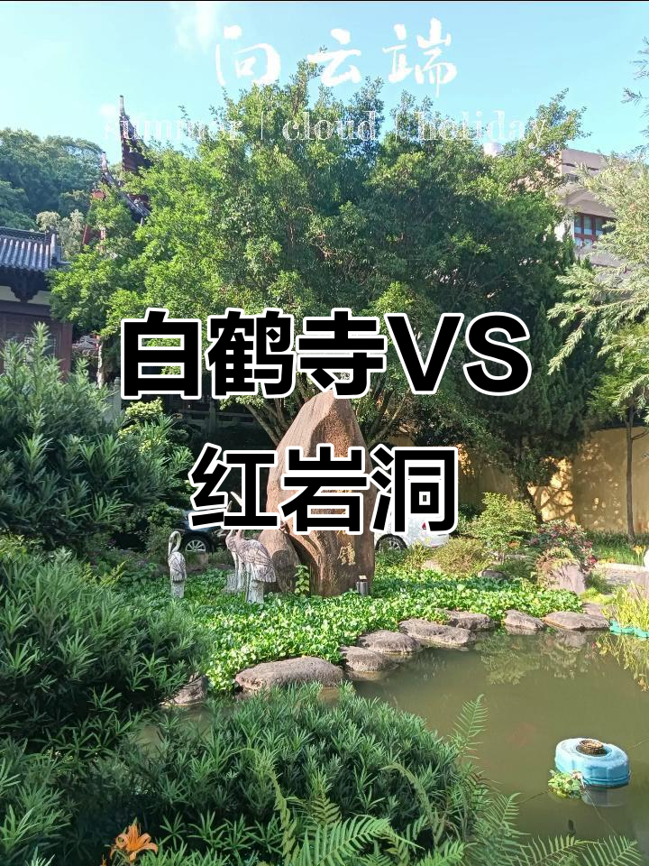 乐清白鹤寺与红岩洞:探秘千年寺庙与自然奇观