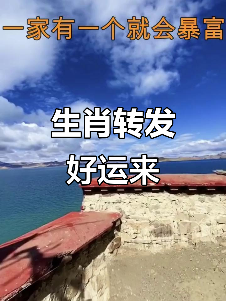 生肖运势真人解说视频全集(生肖运势查询每日更新2019)