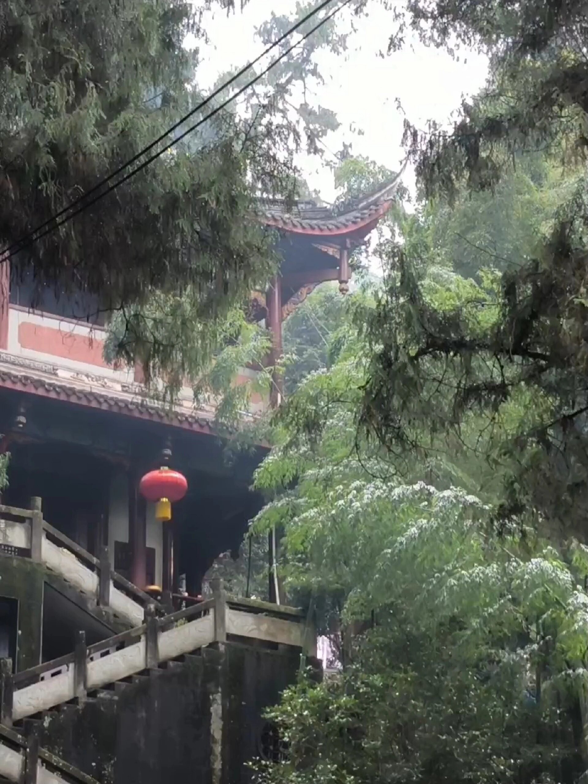 大邑-鶴鳴山道觀