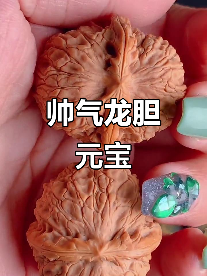 龙胆元宝核桃,陆地小王子般的存在!