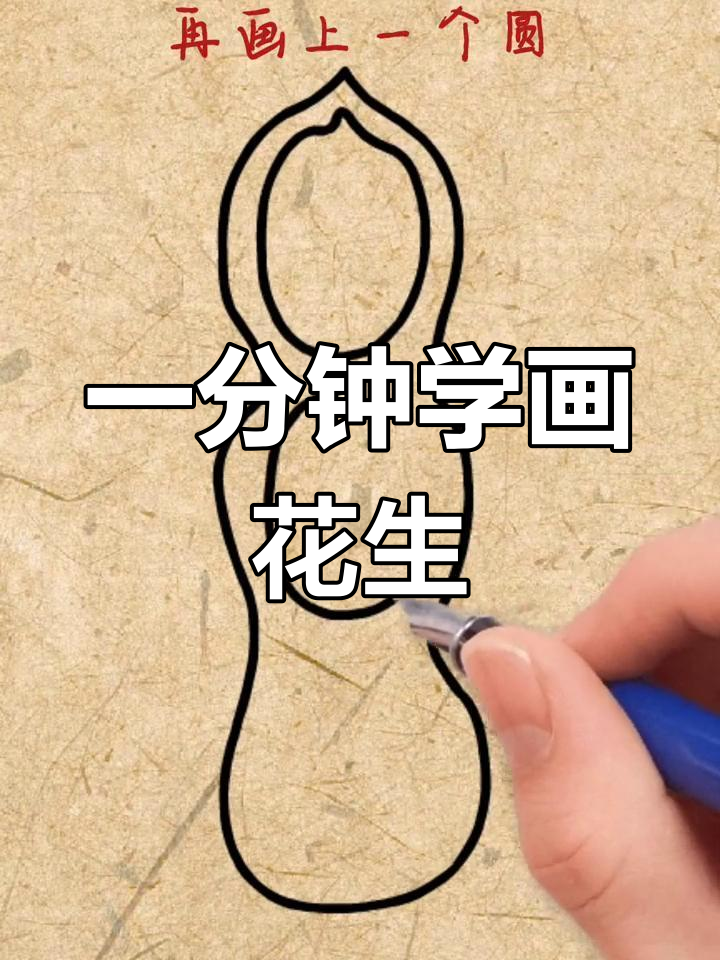 简单花生简笔画教程