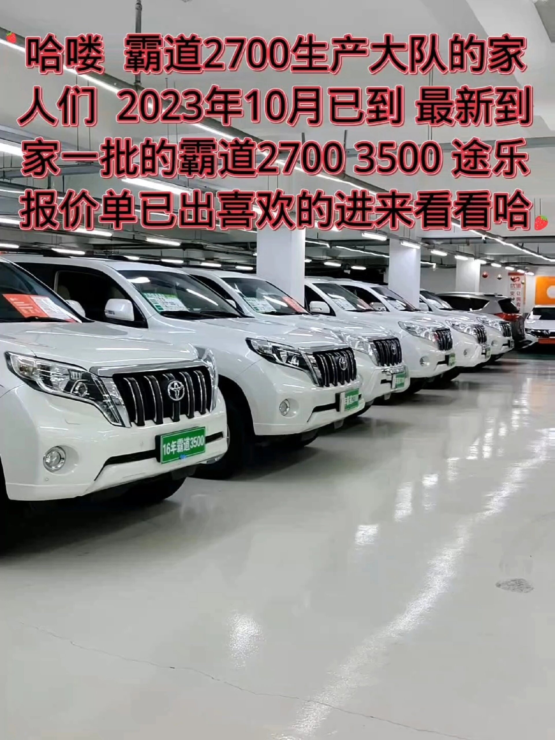 2023年10月已到霸道报价单已出