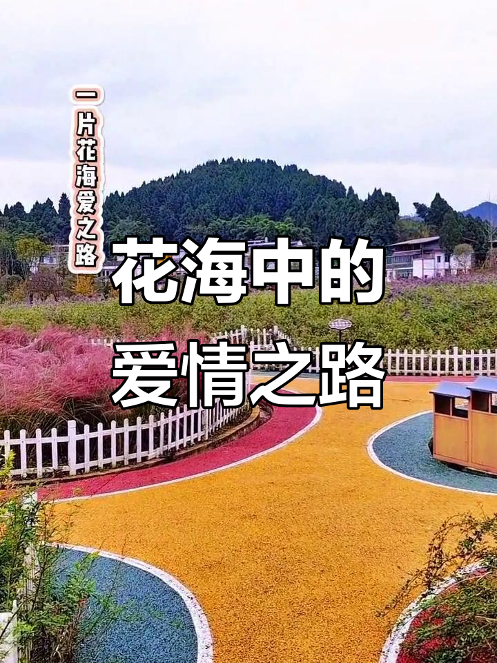阆中花海浪漫之旅,爱与美景相伴