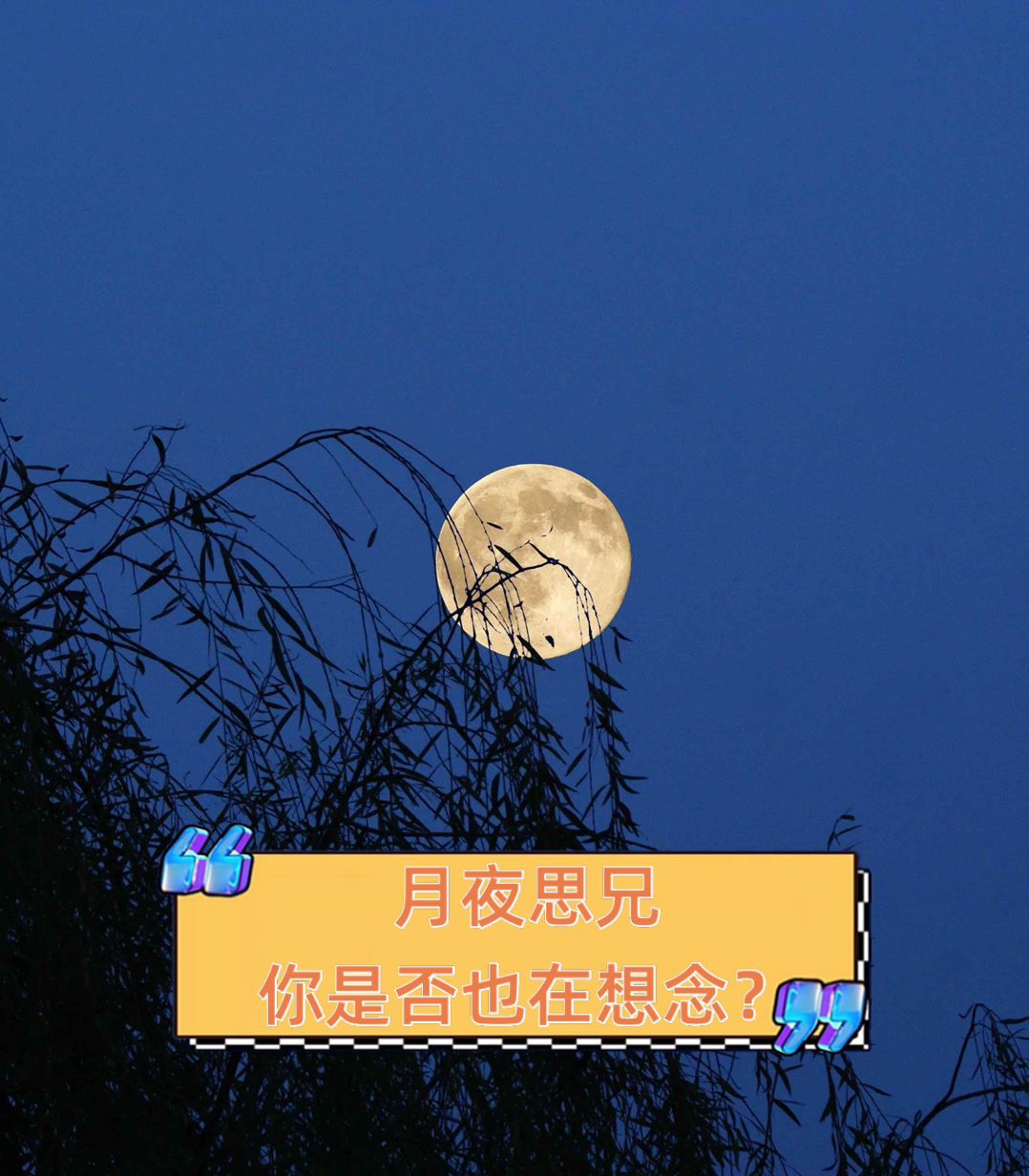 月夜思兄,你是否也在想念?