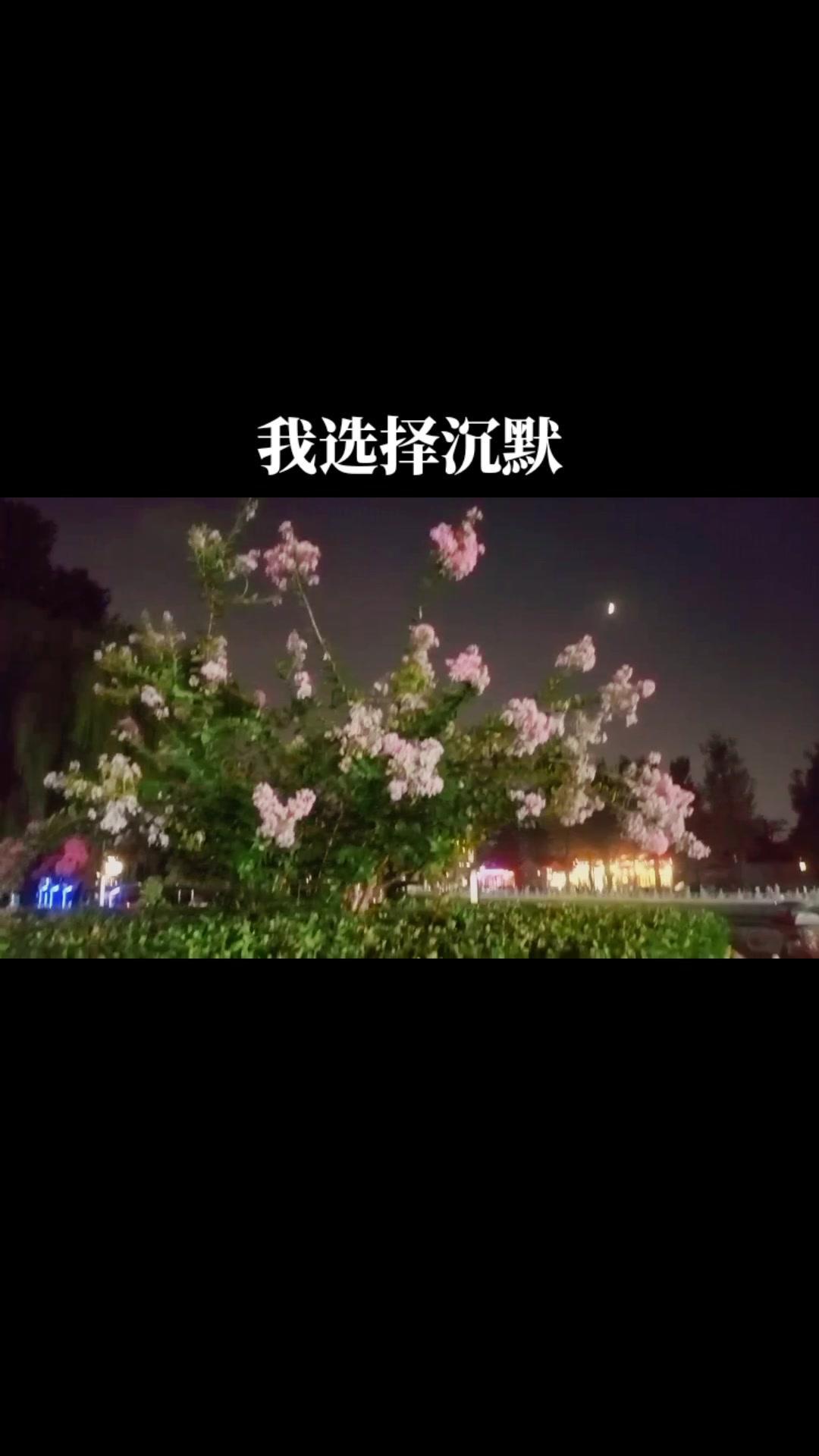 在夜深人静的时候 不想说话只想沉默 若有一天你的情绪不能语言表达