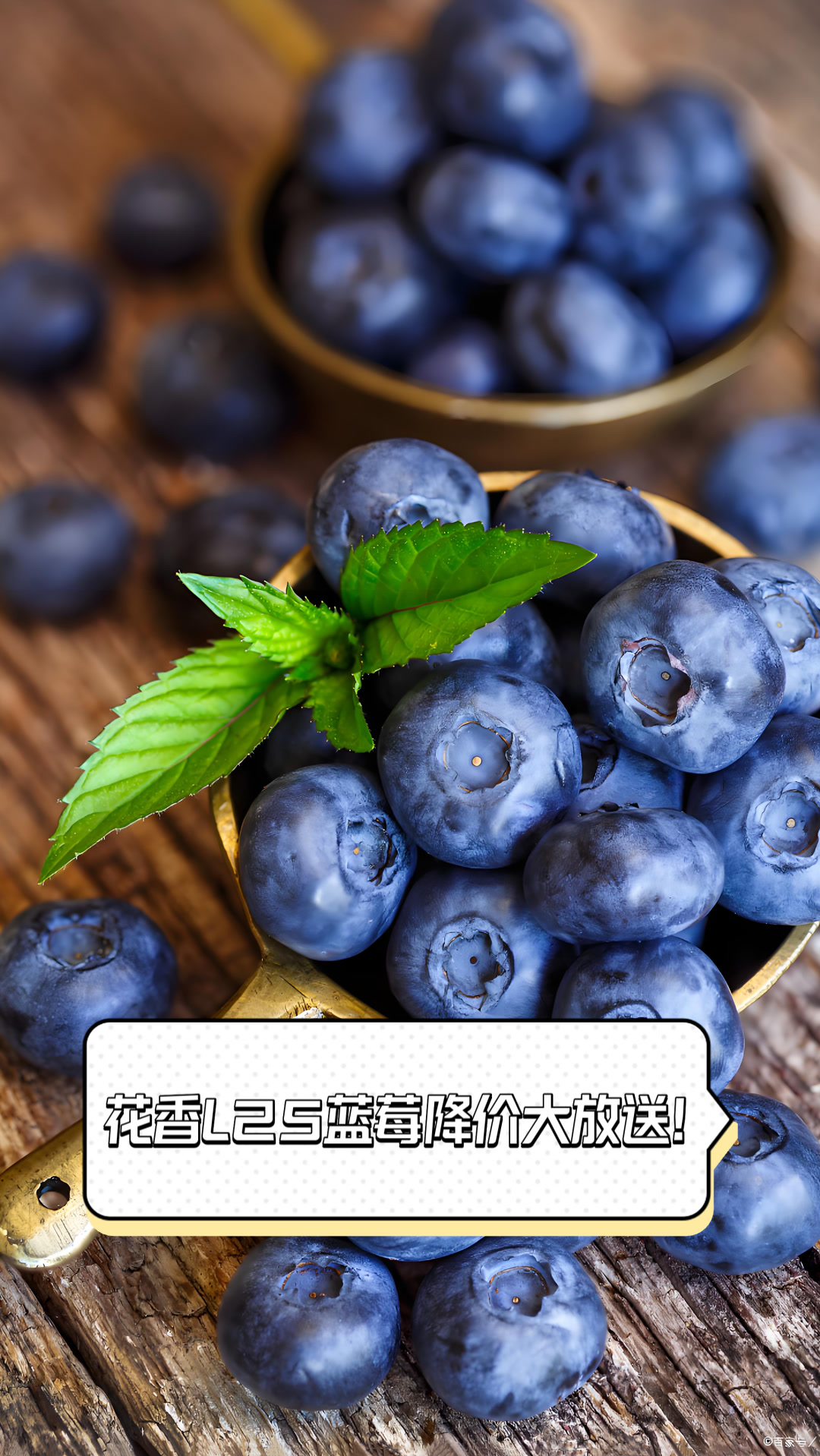 蓝莓LH2
