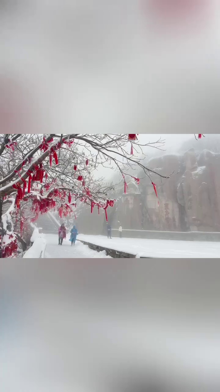 泰顺看雪图片