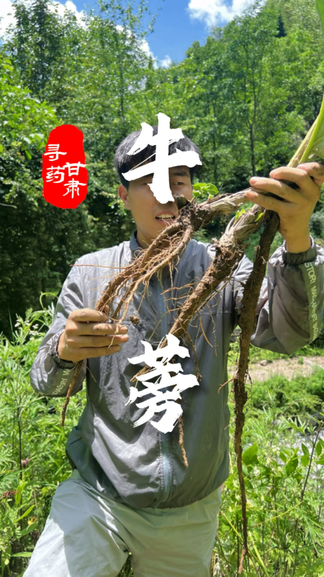 有没有人知道牛蒡是牛身上哪个部位