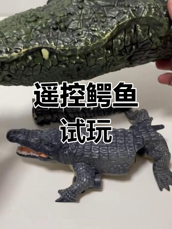 遥控鳄鱼玩具开箱,差点被保安吓到