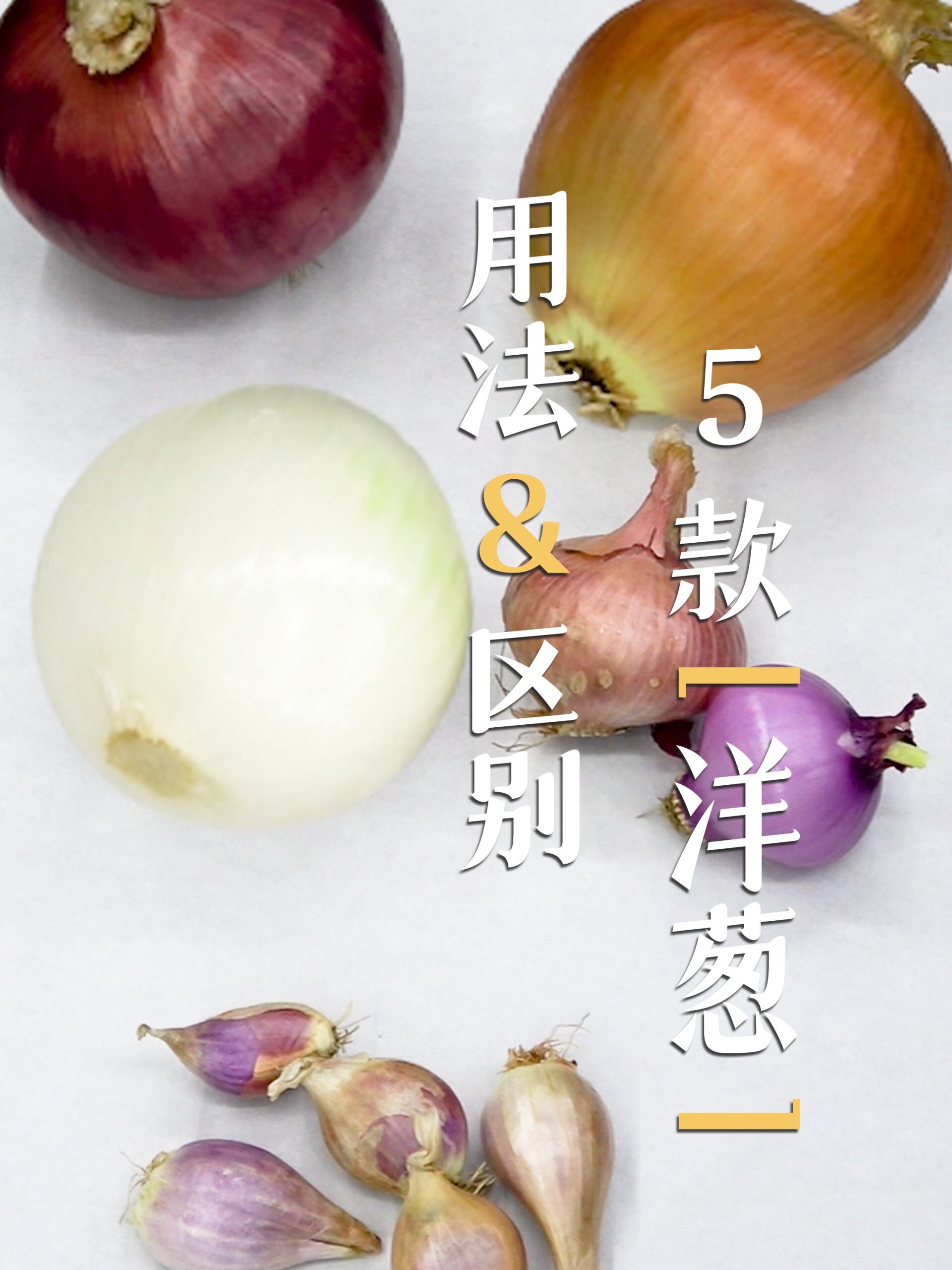 西餐常用5种洋葱的区别和用法,一次讲清楚