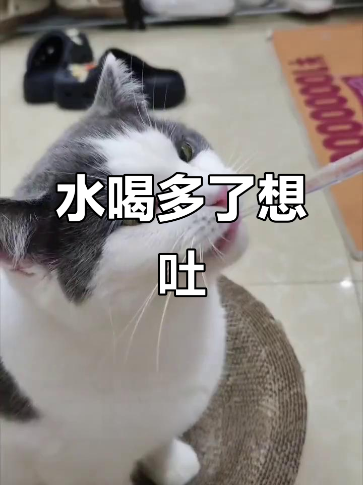 喝水喝到差点吐,吸管也能惹事?