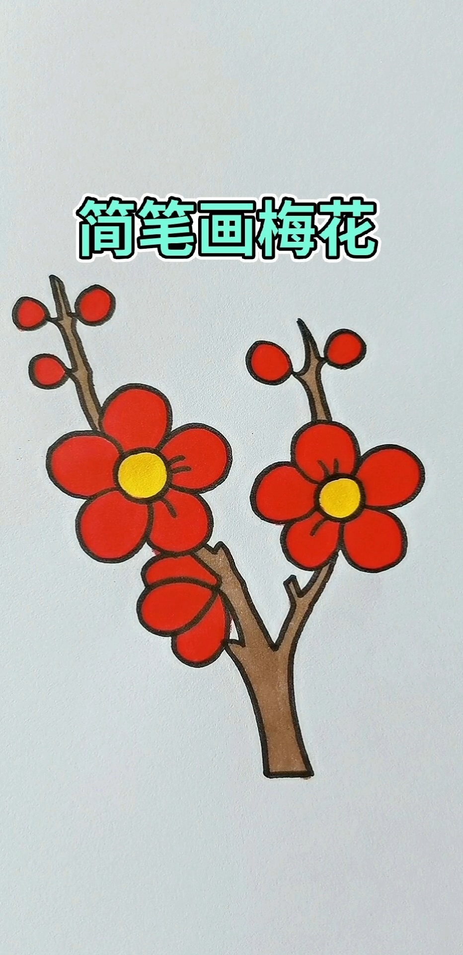 简笔画梅花 简笔画 简笔画教程 亲子简笔-度小视