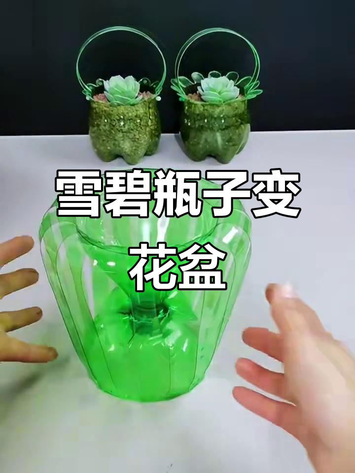 利用雪碧瓶打造迷你花盆,简单又美观