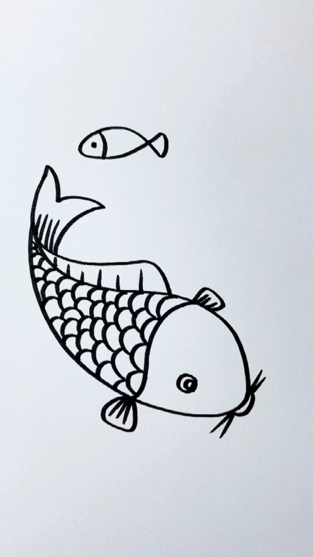 鲤鱼这样画,一学就会