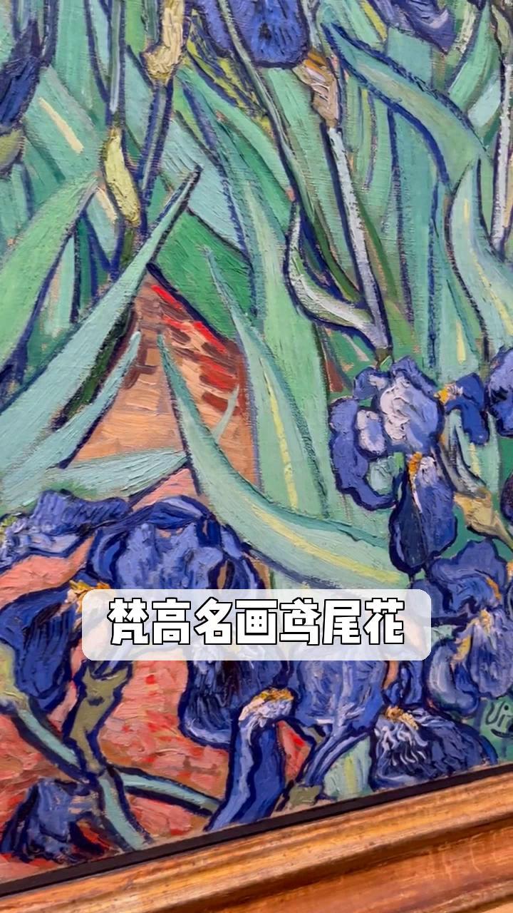 梵高名画鸢尾花