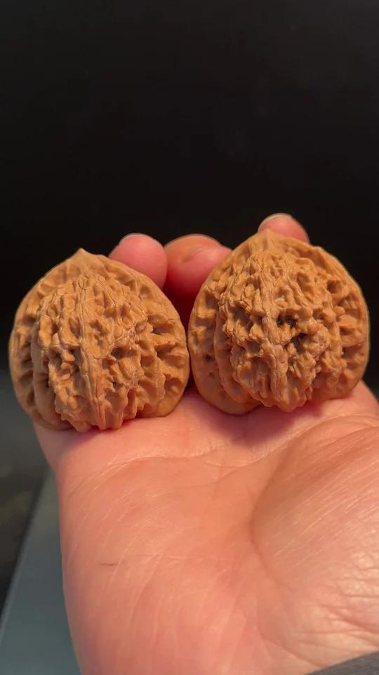 盘龙虎头