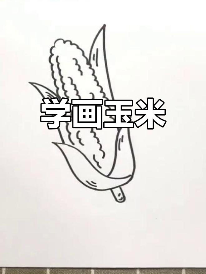 怎么画玉米简单画法图片