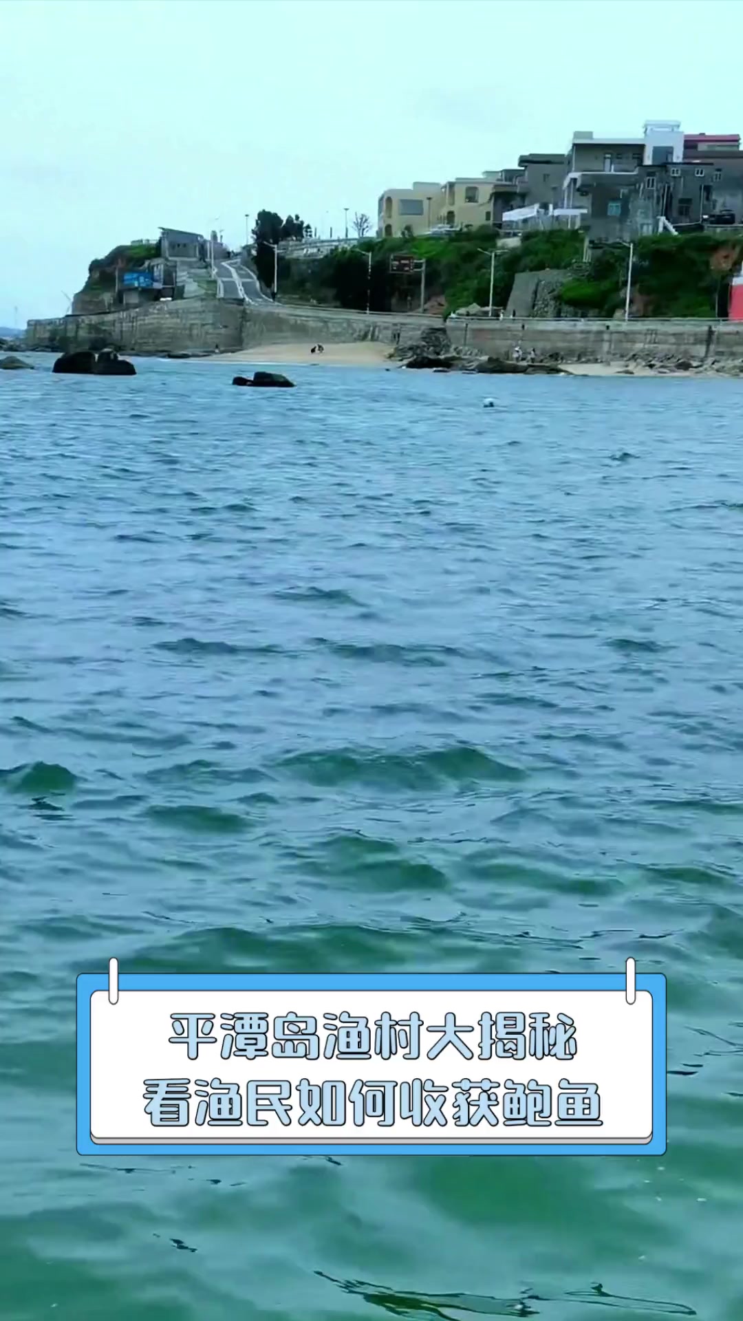 平潭岛渔村大揭秘,看渔民如何收获鲍鱼