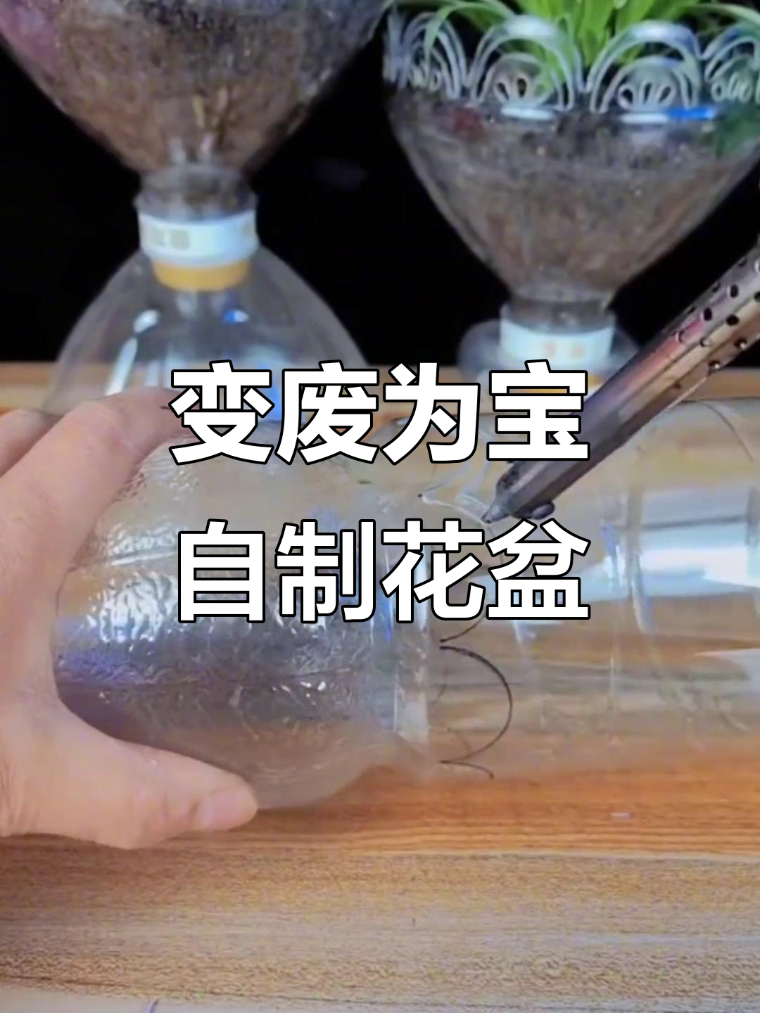 废旧饮料瓶变花盆,创意diy教程来啦!