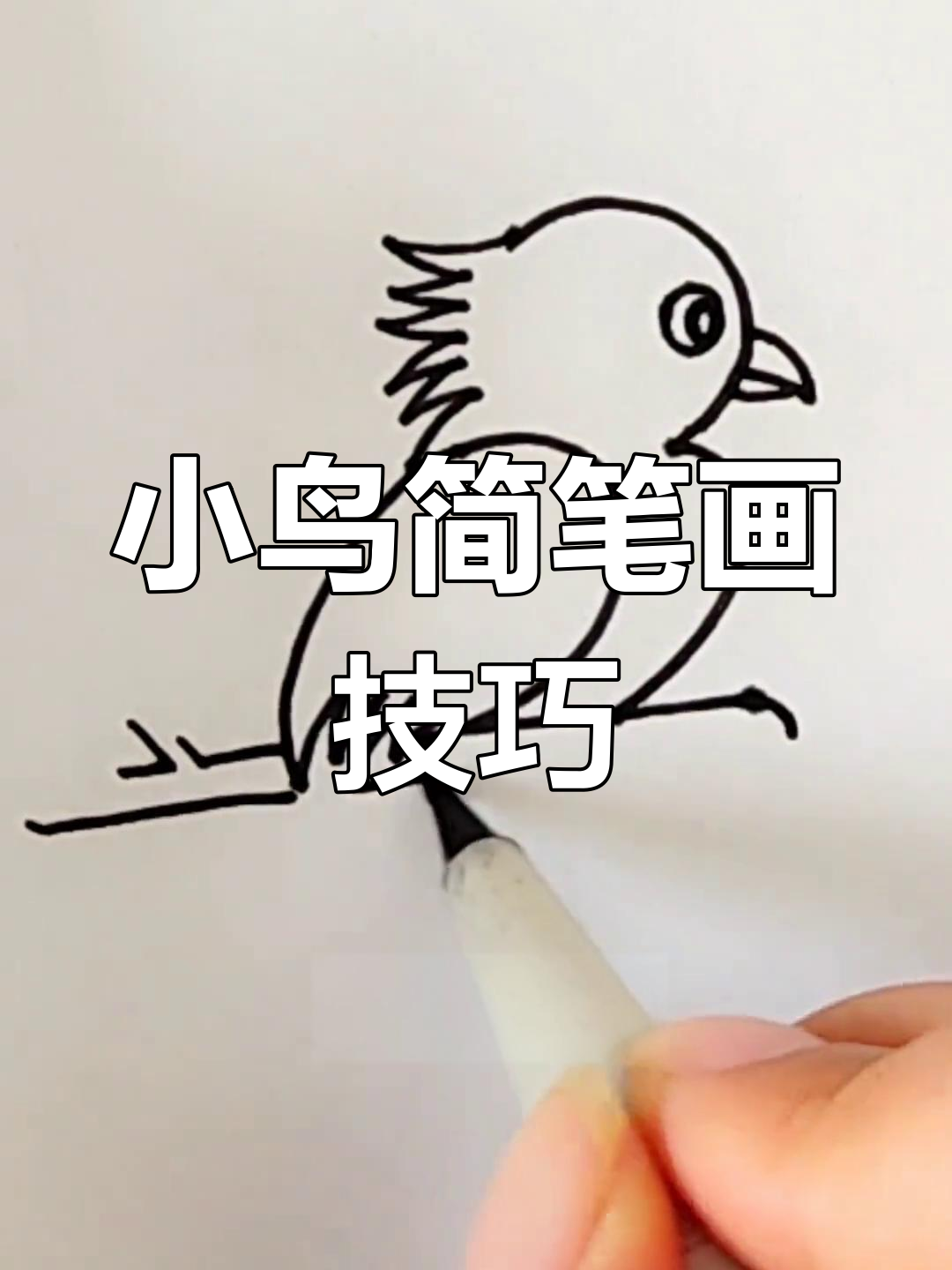 小鸟简笔画教程 天上图片