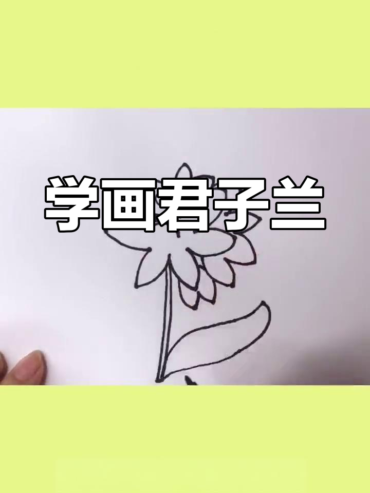 简单几步画出君子兰