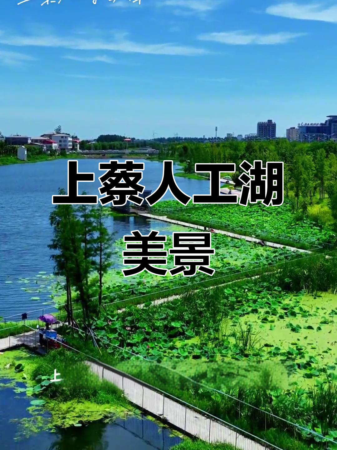 上蔡人工湖:都市公园与桥梁的完美融合