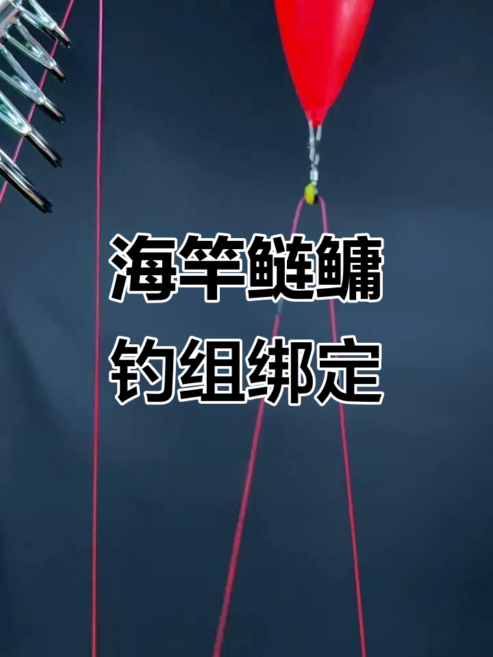 升级版海竿鲢鳙钓组绑法,轻松掌握大个体捕捉技巧