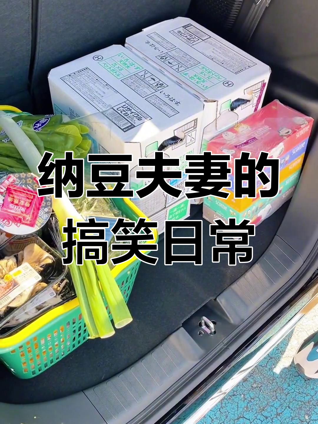 纳豆夫妇的日常:豆少轻松搞定,豆嫂的车技让人佩服