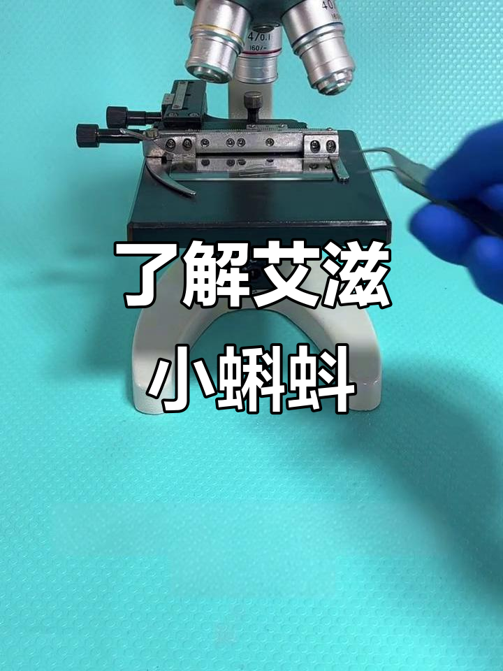 你见过艾滋小蝌蚪吗?揭秘艾滋病病毒的真实面目