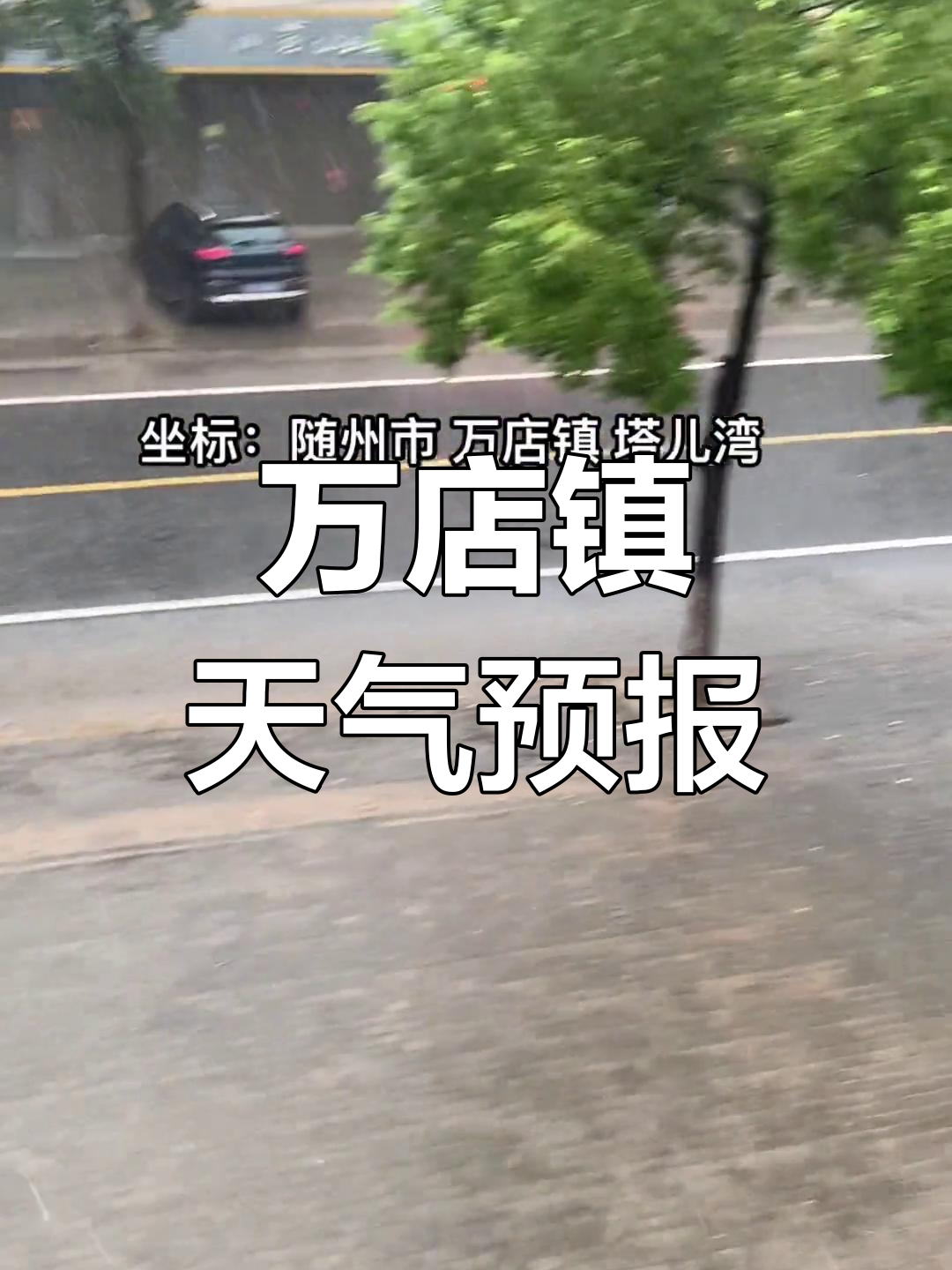 斗门天气天气大全