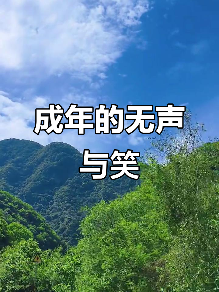 成年人的世界,微笑是武器,沉默是最好的回应