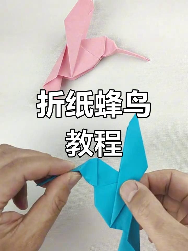 折纸蜂鸟,翅膀煽动最快的鸟类之一