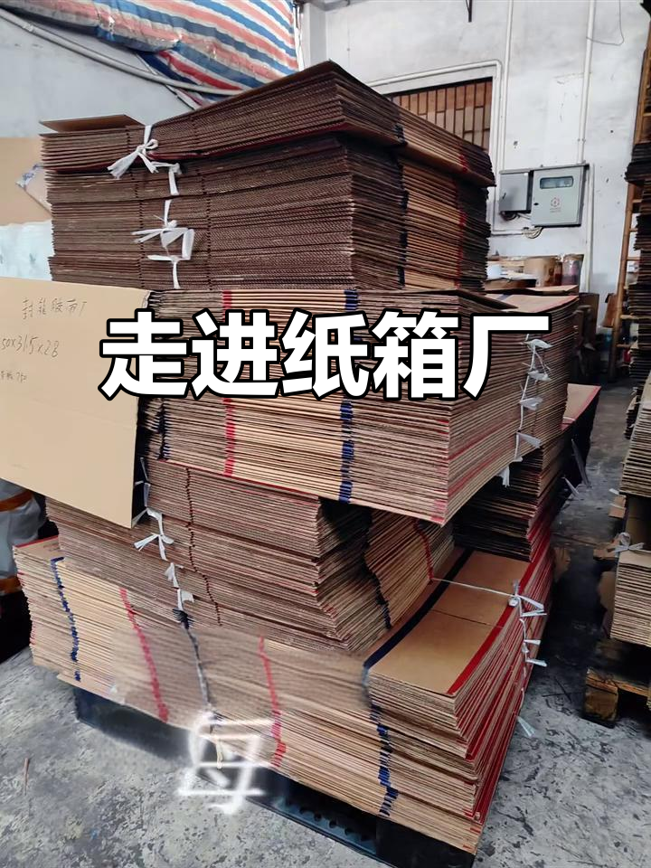纸箱厂内部揭秘:生产流程与设备全景展示