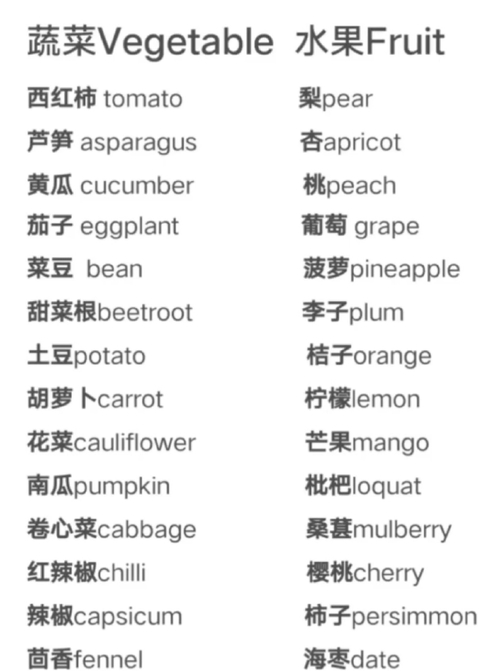 蔬菜英语单词大全100个图片