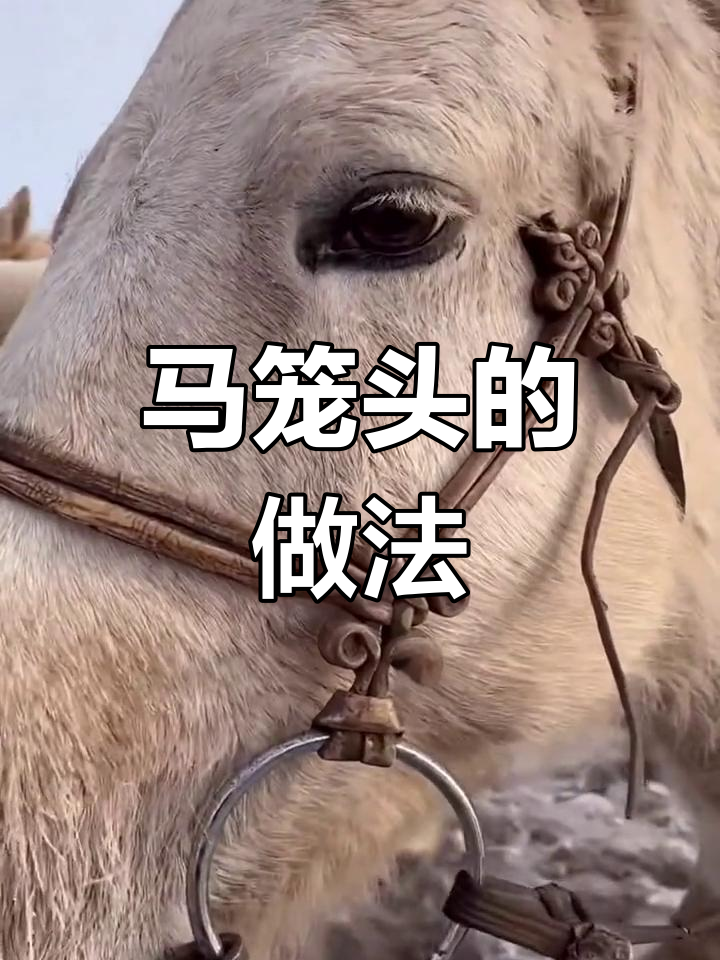 牧民生活:马笼头制作大揭秘,你能做出来吗?