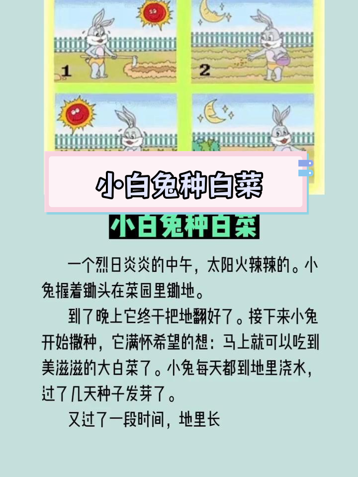 小白兔种菜园,从播种到收获