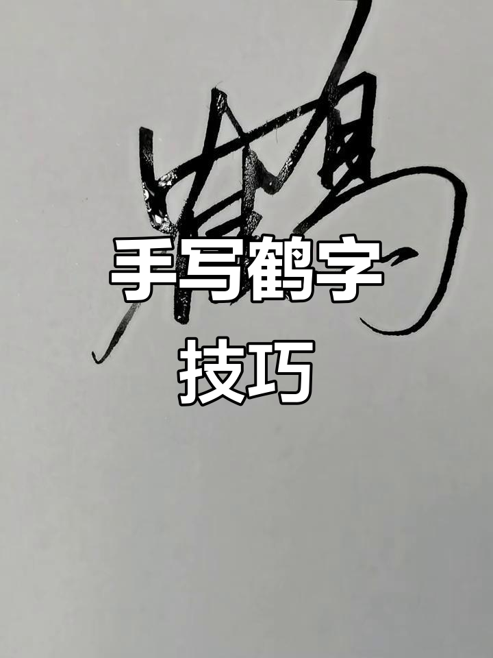 鹤的连笔字艺术,流畅如水