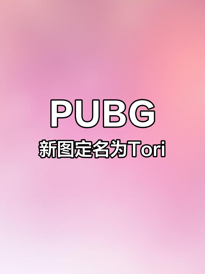 结论：PUBG不仅仅是一种游戏，更是一种文化