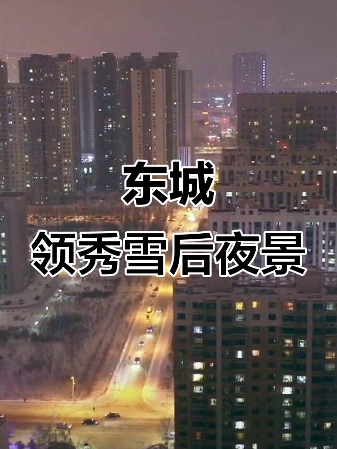 大庆东城领秀雪夜美景,万家灯火映衬其中