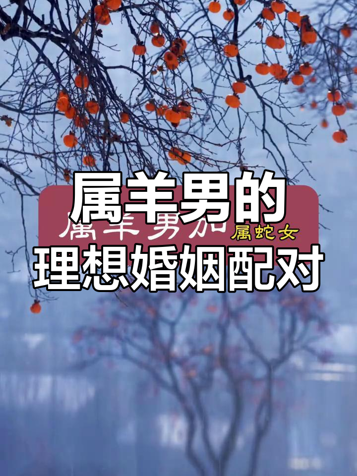 生肖羊男最佳婚配运势详解(生肖羊男不为人知的秘密)