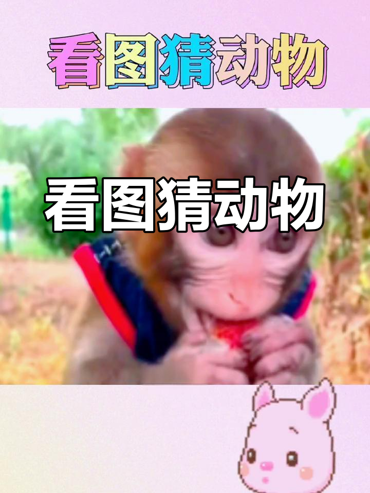猜动物挑战,你能答对几个?